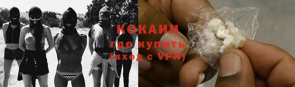 дживик Абаза