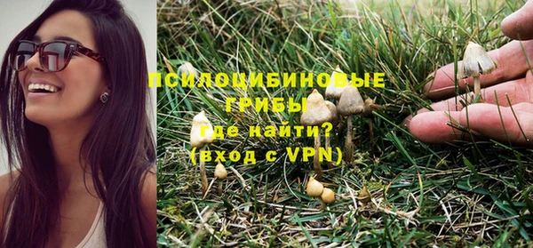 твердый Алексеевка