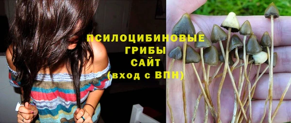 дживик Абаза